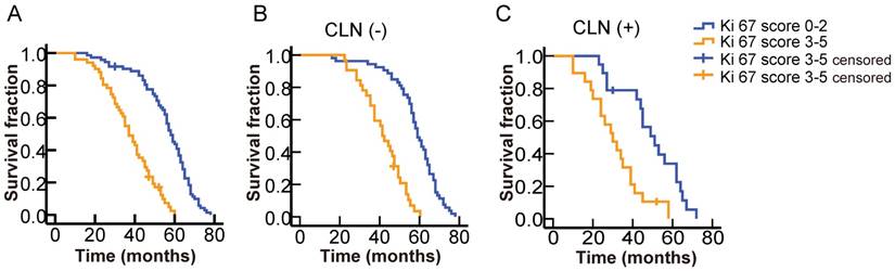 J Cancer Image