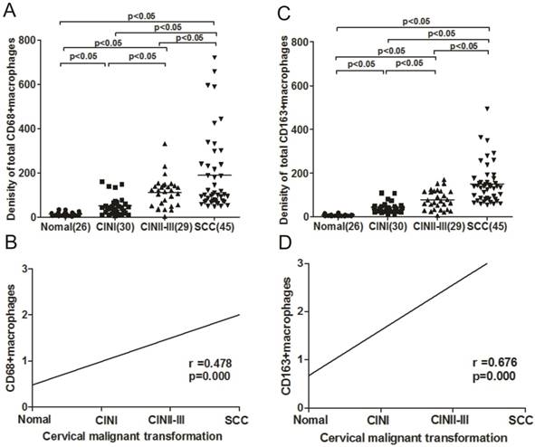 J Cancer Image