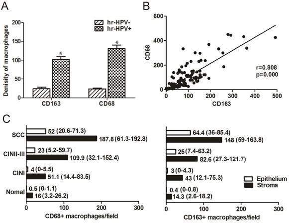 J Cancer Image