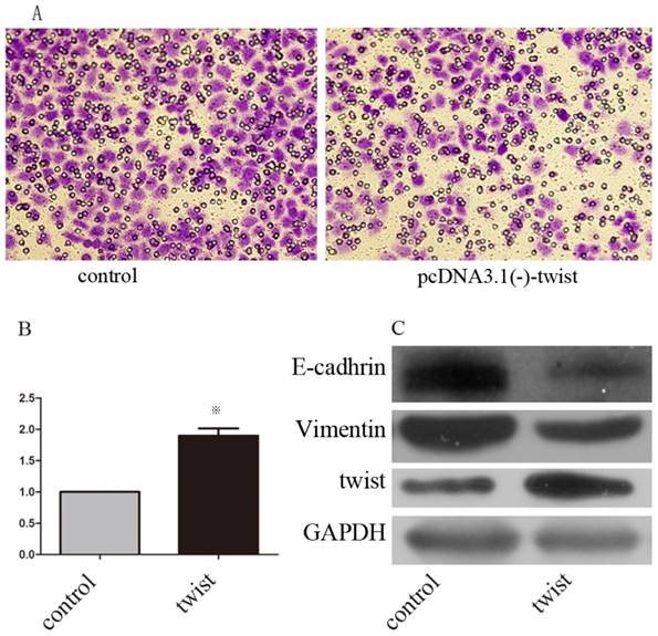 J Cancer Image