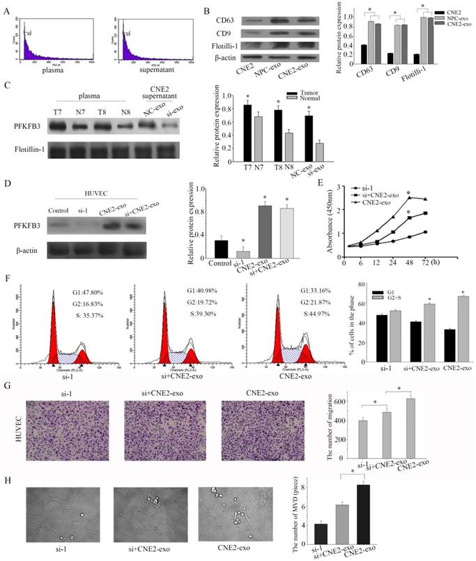 J Cancer Image