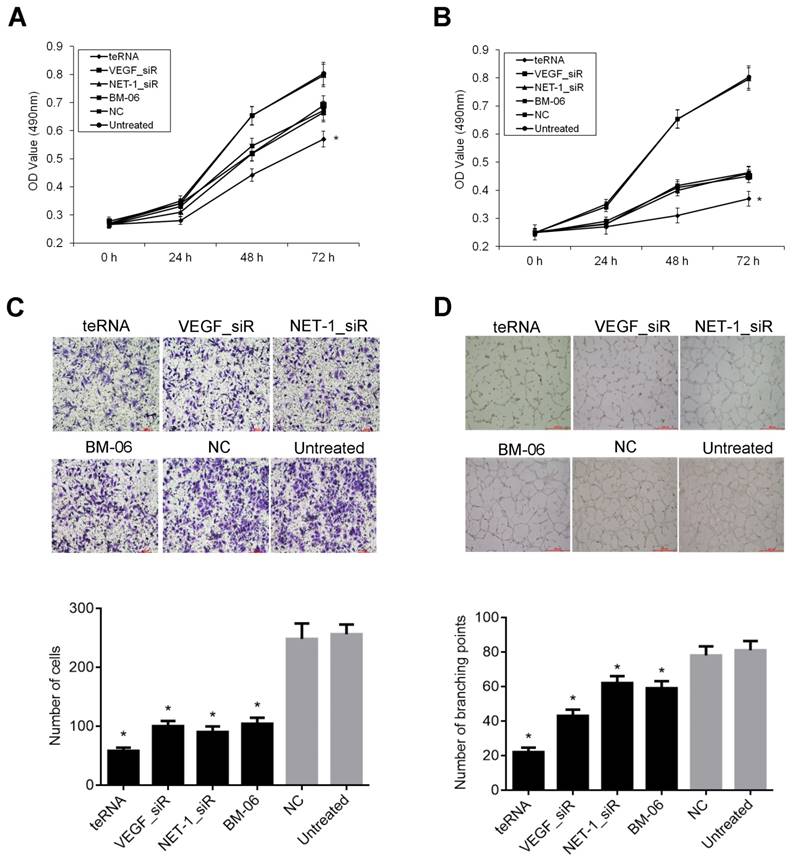 J Cancer Image