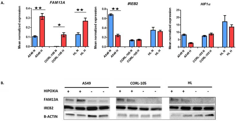 J Cancer Image