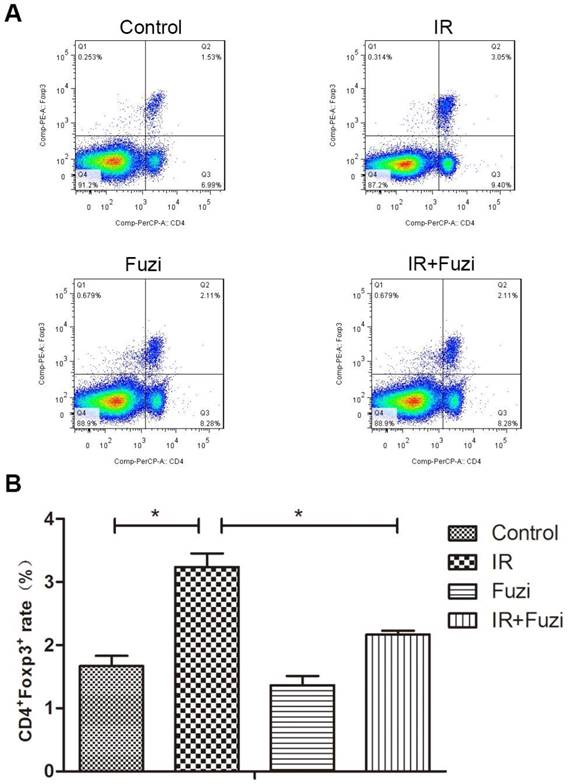 J Cancer Image