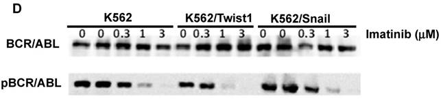 J Cancer Image