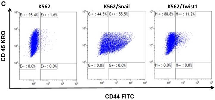 J Cancer Image