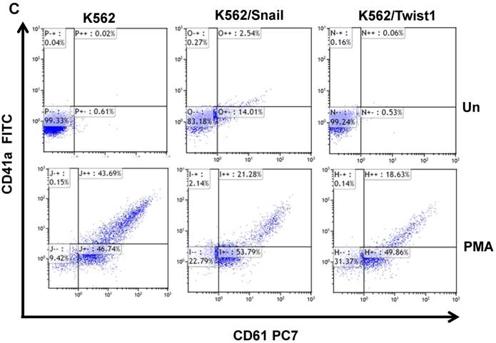 J Cancer Image