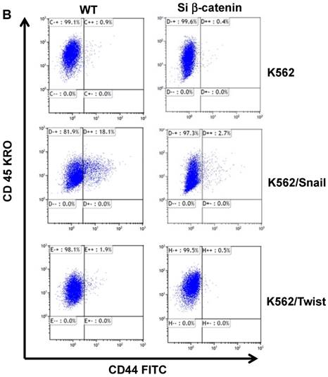 J Cancer Image