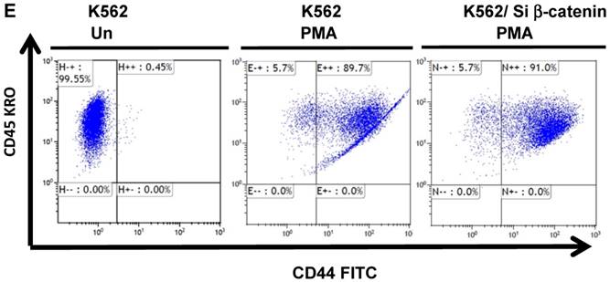 J Cancer Image