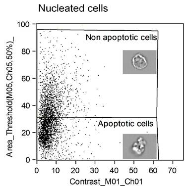 J Cancer Image