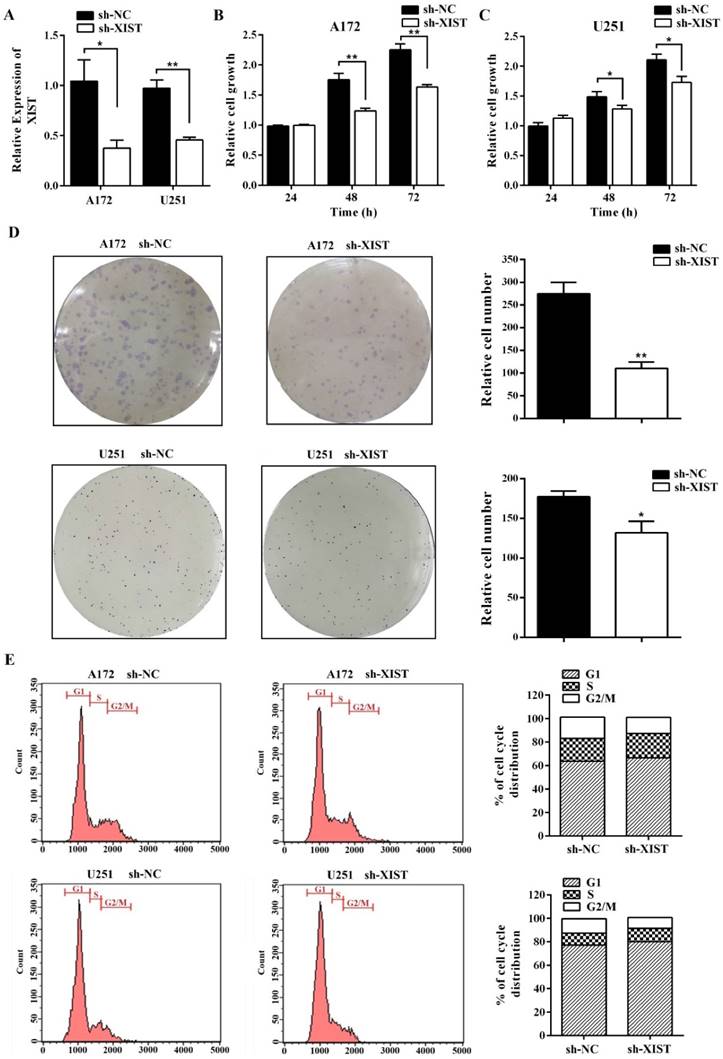 J Cancer Image