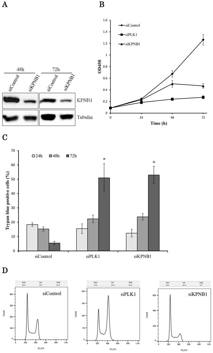 J Cancer Image