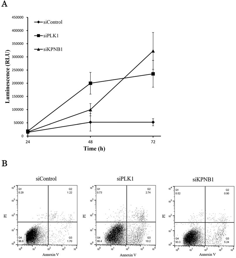 J Cancer Image