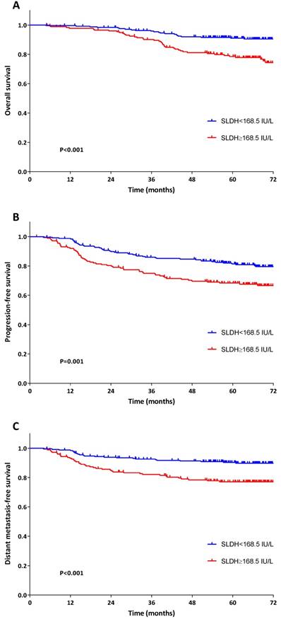 J Cancer Image