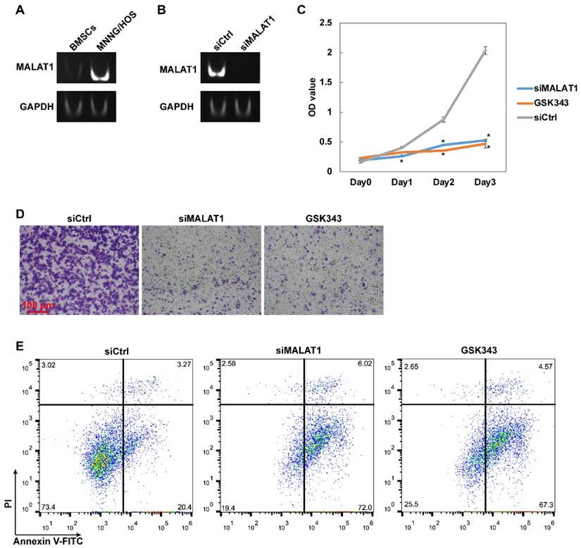 J Cancer Image