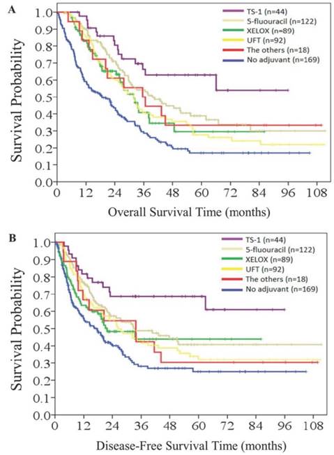 J Cancer Image