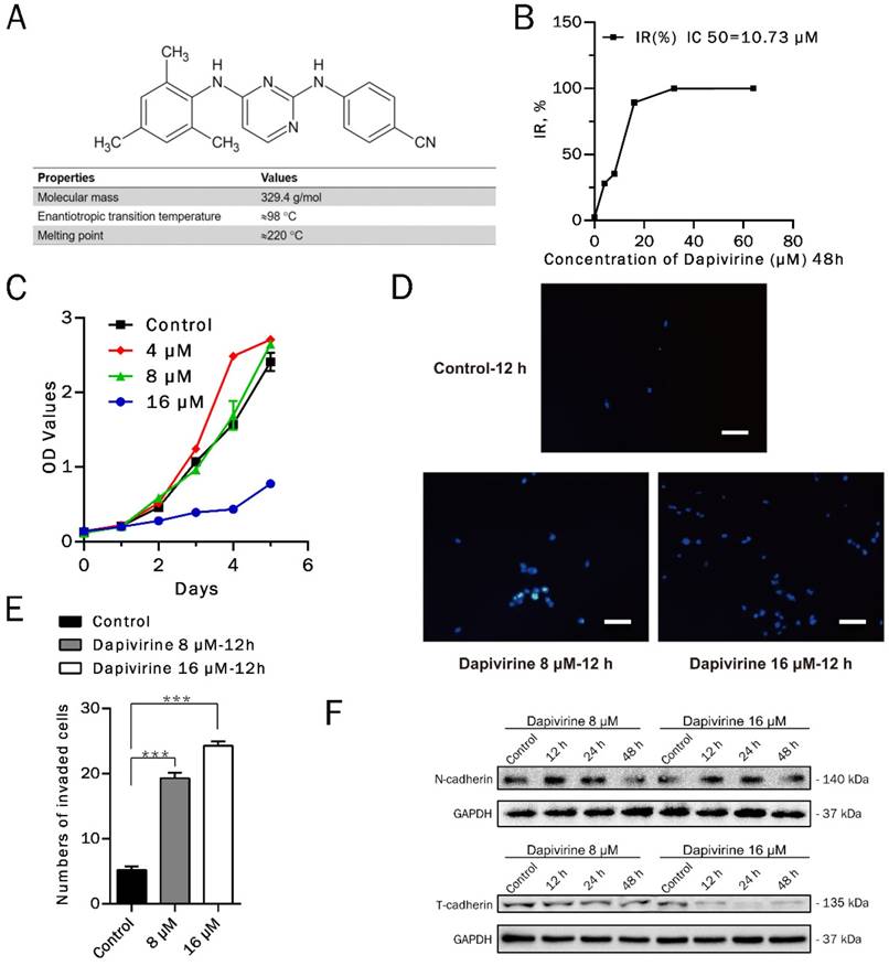 J Cancer Image