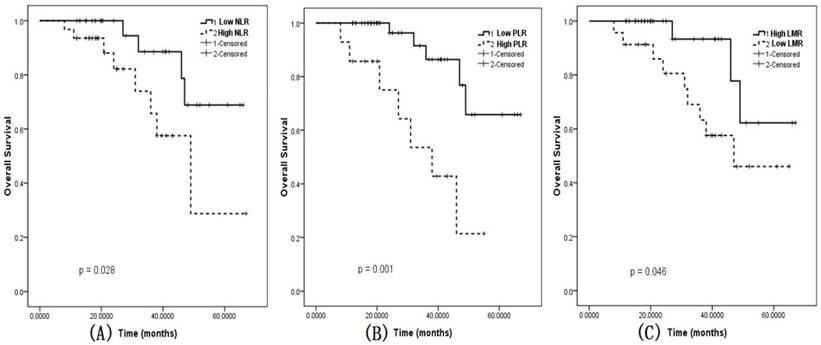 J Cancer Image