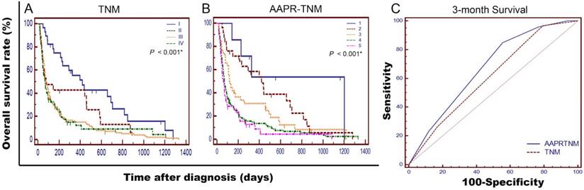 J Cancer Image