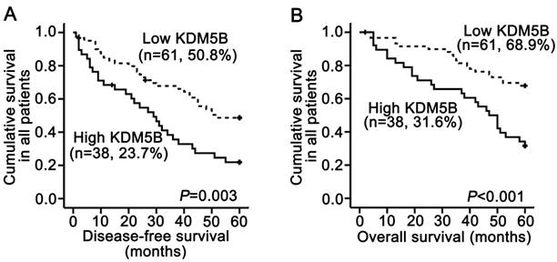 J Cancer Image