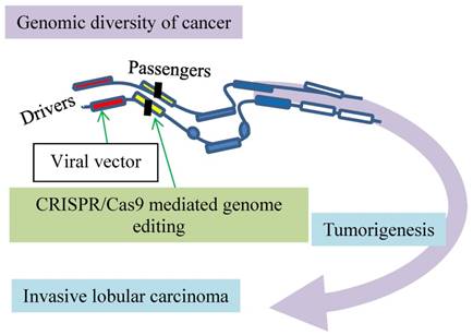 J Cancer Image