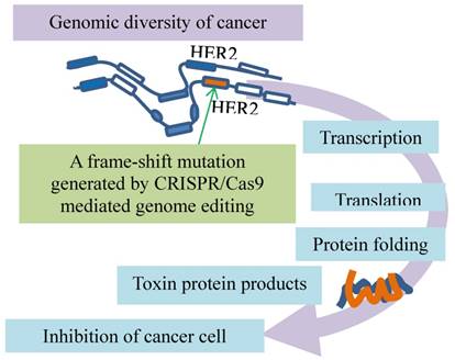 J Cancer Image