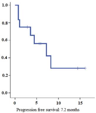 J Cancer Image