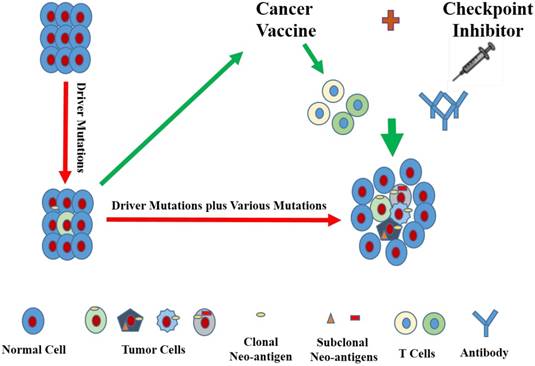 J Cancer Image