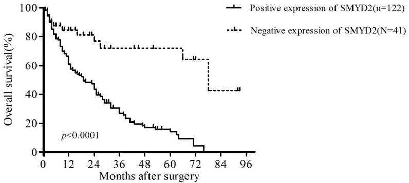 J Cancer Image