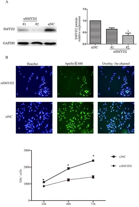 J Cancer Image