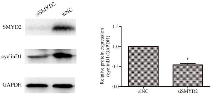 J Cancer Image