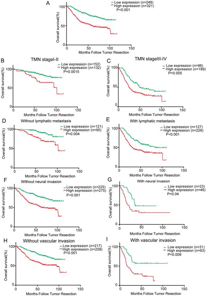 J Cancer Image