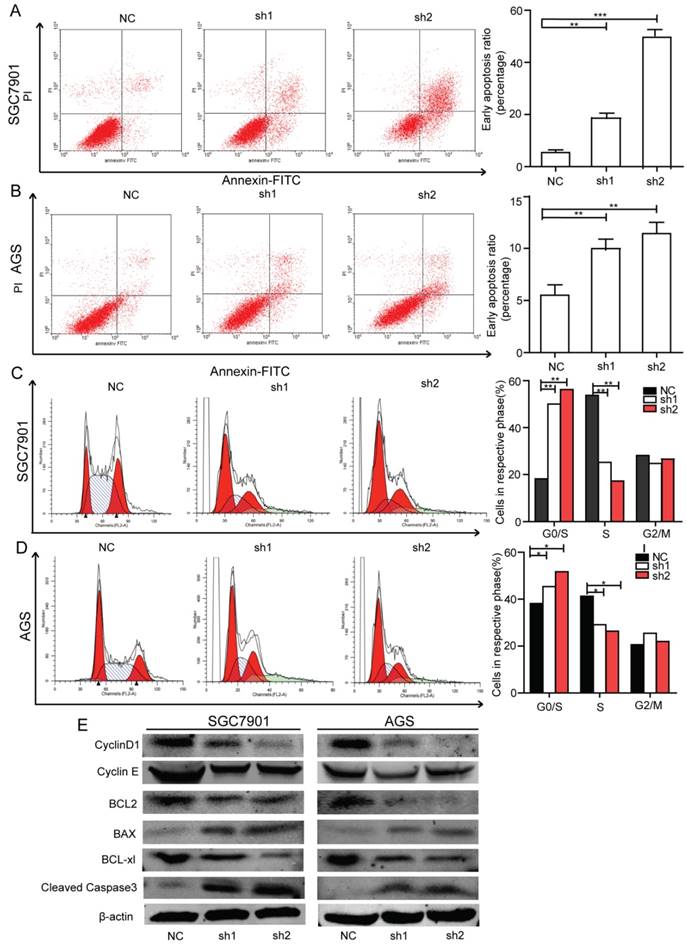 J Cancer Image