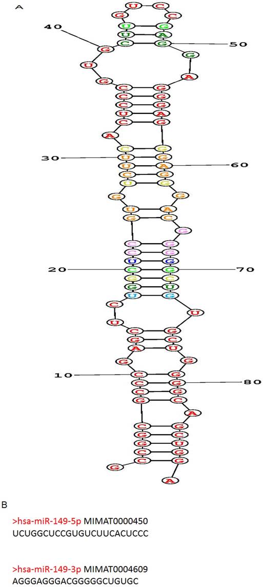 J Cancer Image