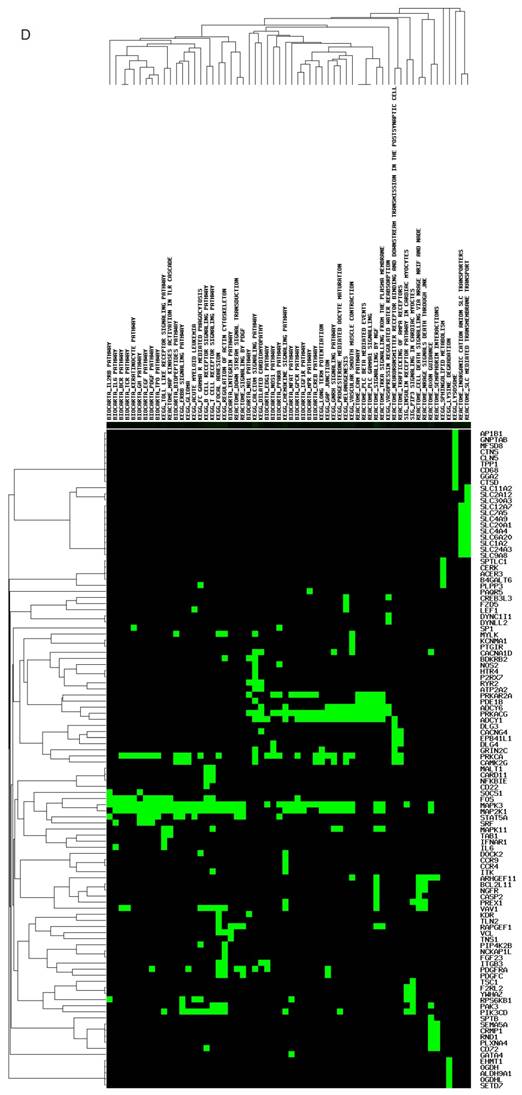 J Cancer Image