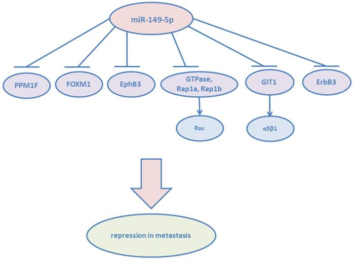 J Cancer Image