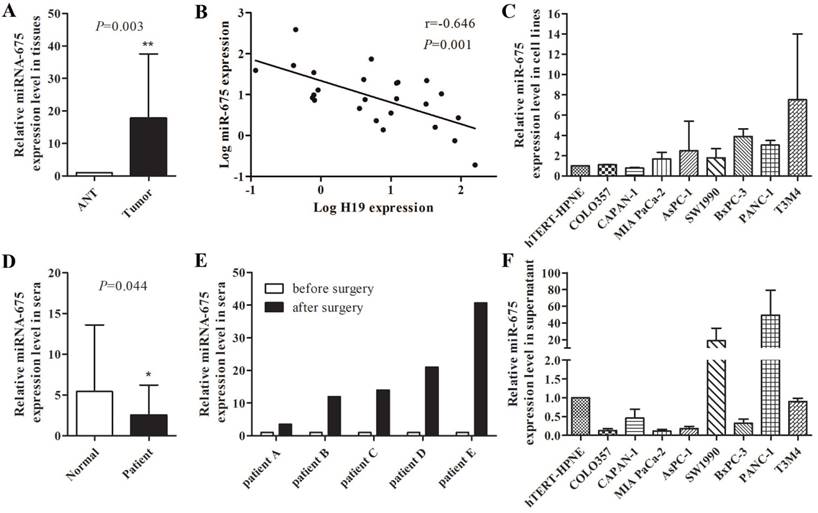 J Cancer Image