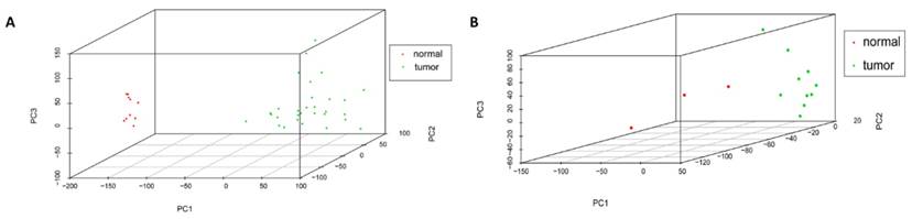 J Cancer Image