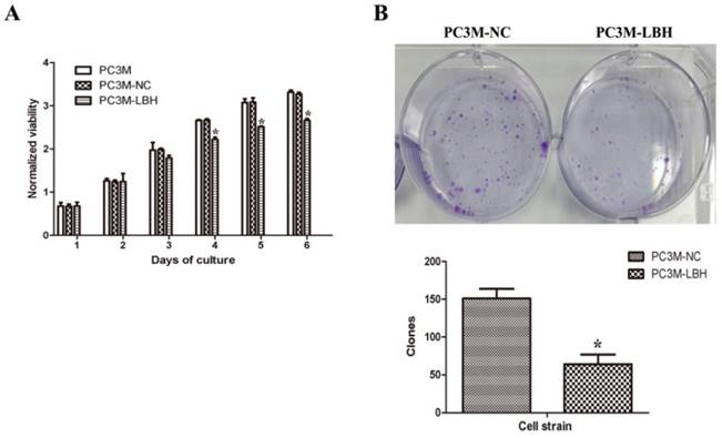 J Cancer Image