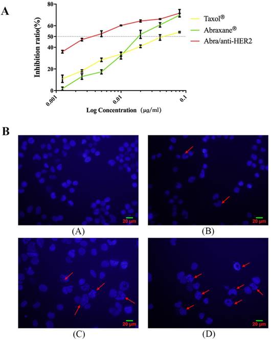 J Cancer Image