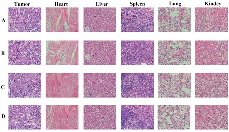 J Cancer Image