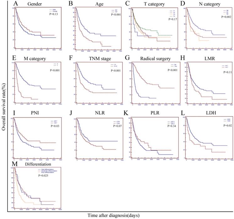 J Cancer Image