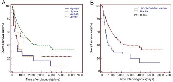 J Cancer Image