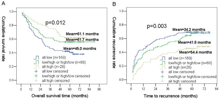 J Cancer Image