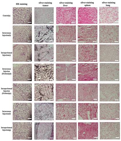 J Cancer Image