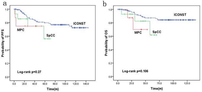 J Cancer Image