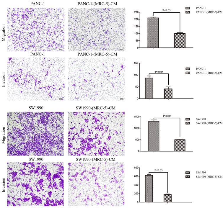 J Cancer Image