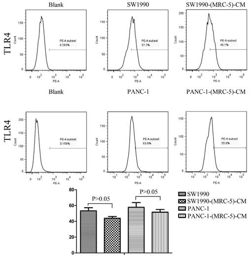 J Cancer Image