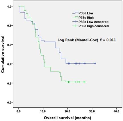 J Cancer Image