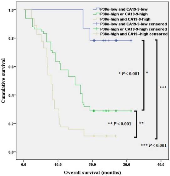 J Cancer Image